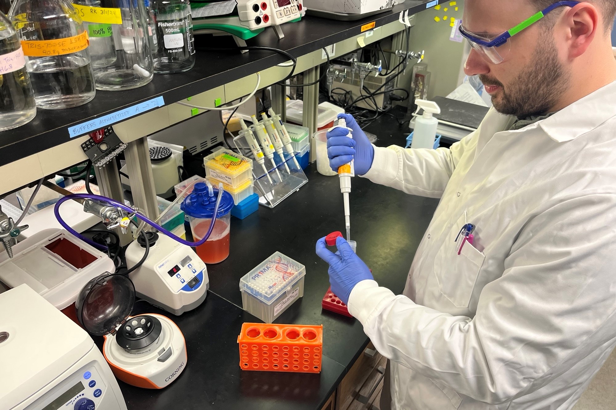 Researcher working in Lab on Castration Resistant Prostate Cancer