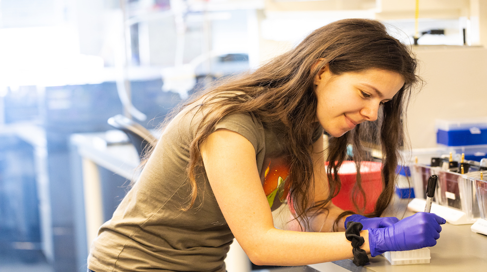 Student wearing gloves working in a lab, writing on a small container at a bench.